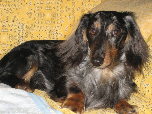 Trout fishing�@�Ɓ@���Ԃ���