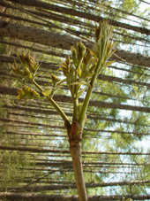 �����x�̂炭����