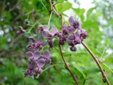 �����x�̂炭����