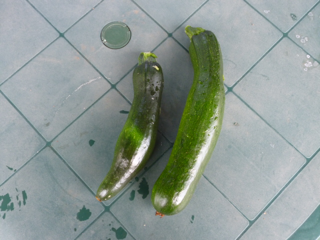 ̌yg炵