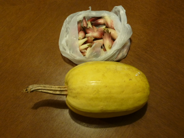 ̌yg炵