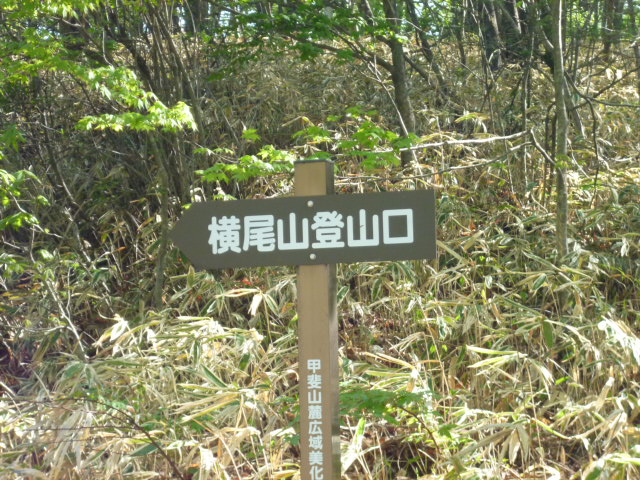 ̌yg炵