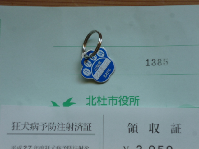 ̌yg炵
