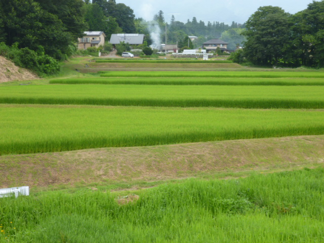 ̌yg炵