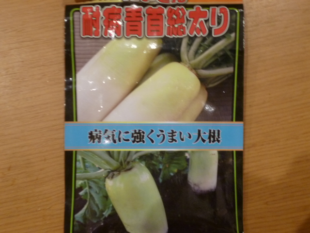 ̌yg炵