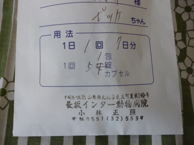 ̌yg炵
