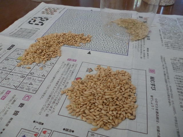 ̌yg炵
