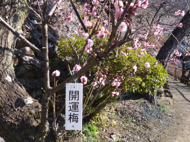 ̌yg炵