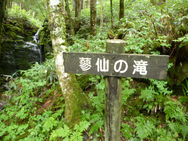 ̌yg炵