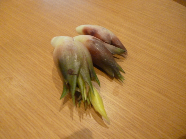 ̌yg炵