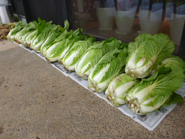 ̌yg炵