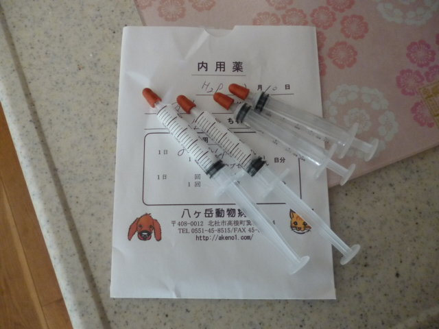 ̌yg炵