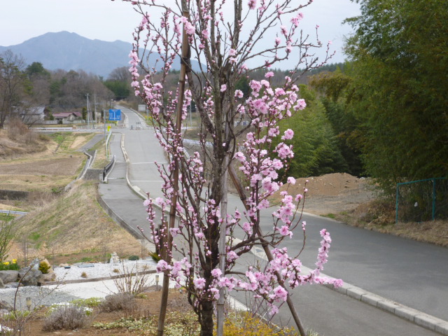 ̌yg炵