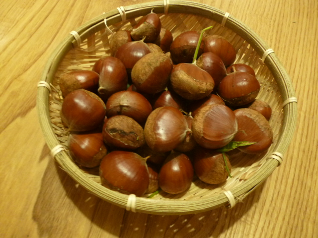 ̌yg炵