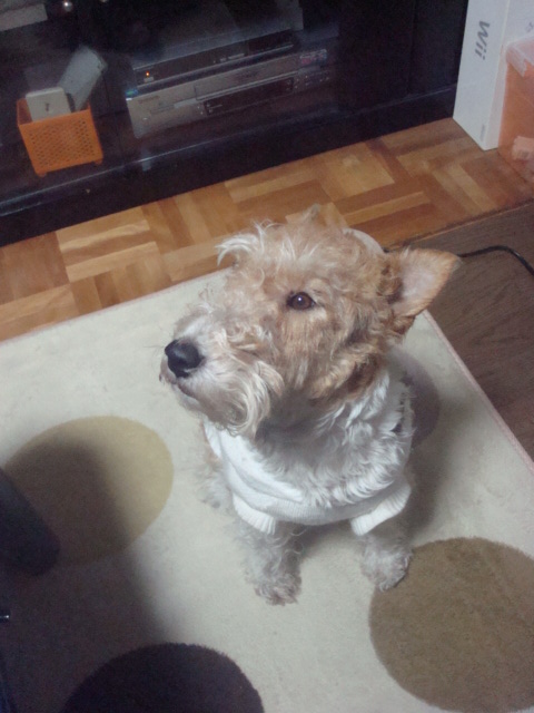 buddyf@house