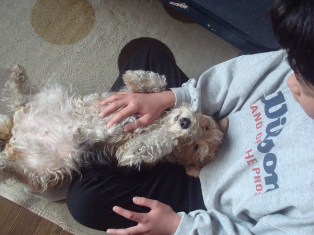 buddyf@house