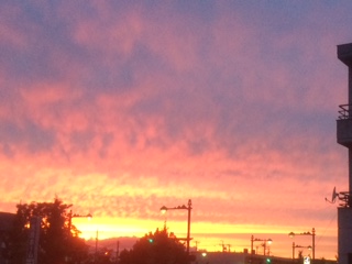 buddy�f���@house