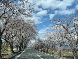 �R���͑f���炵���I�ibuddy�f���@house�j