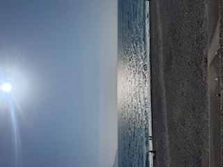 �R�A�x�Q���ځ@�A�蓹�ibuddy�f���@house�j