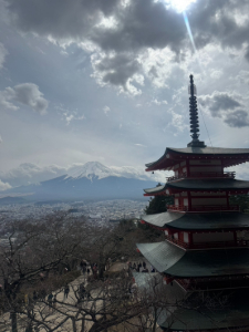 �R�A�x�P���ځ@���ibuddy�f���@house�j