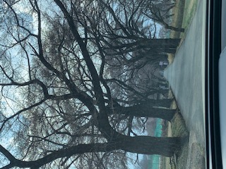 �R���Q�X���̍��ibuddy�f���@house�j