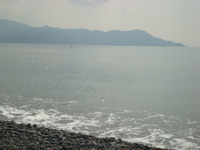 buddy�f���@house