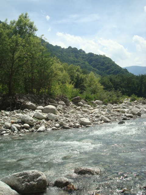 buddy�f���@house