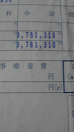 �L�Q�P�C�Ƃ̕�炵