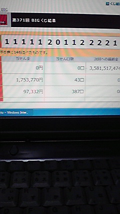 �L�Q�P�C�Ƃ̕�炵