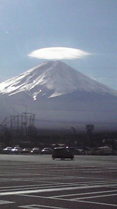 �L�Q�P�C�Ƃ̕�炵