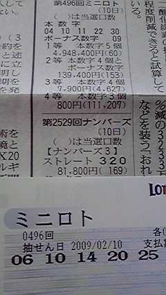 �L�Q�P�C�Ƃ̕�炵