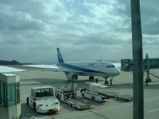 �L�Q�P�C�Ƃ̕�炵