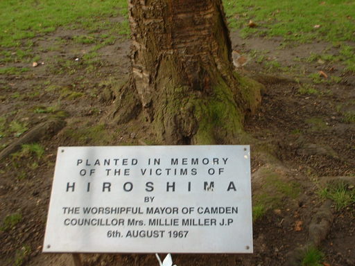 �L�Q�P�C�Ƃ̕�炵