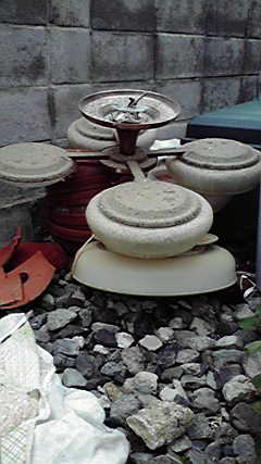 �L�Q�P�C�Ƃ̕�炵