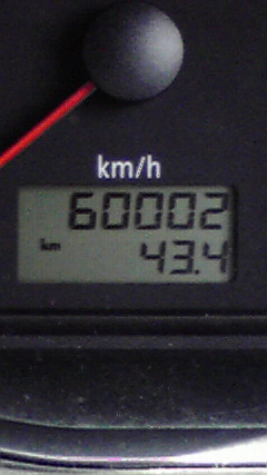 �L�Q�P�C�Ƃ̕�炵