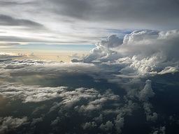 �L�Q�P�C�Ƃ̕�炵