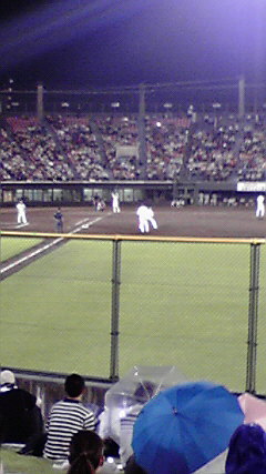 �L�Q�P�C�Ƃ̕�炵