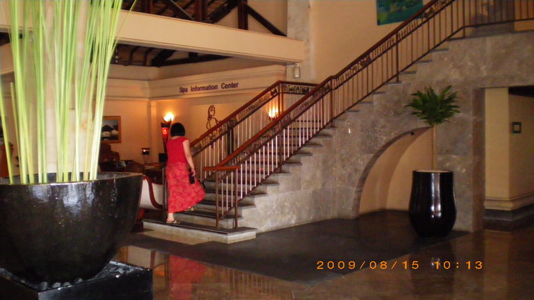 �L�Q�P�C�Ƃ̕�炵