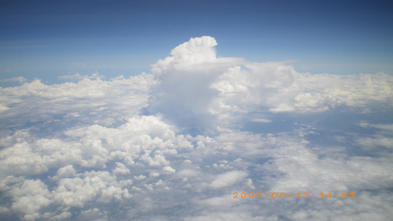 �L�Q�P�C�Ƃ̕�炵