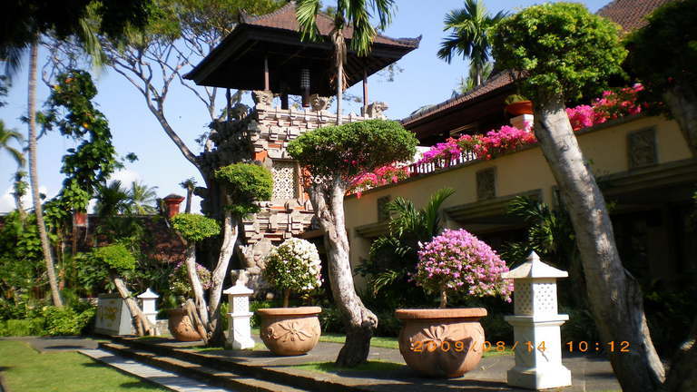 �L�Q�P�C�Ƃ̕�炵