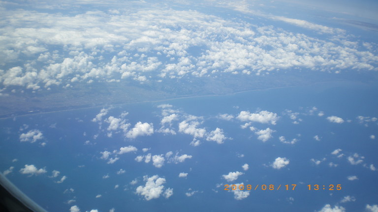 �L�Q�P�C�Ƃ̕�炵