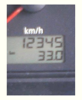 �L�Q�P�C�Ƃ̕�炵