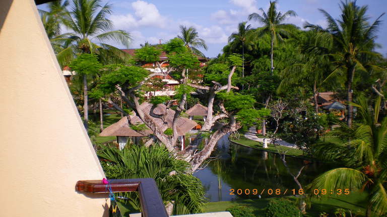 �L�Q�P�C�Ƃ̕�炵