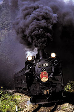 �L�Q�P�C�Ƃ̕�炵