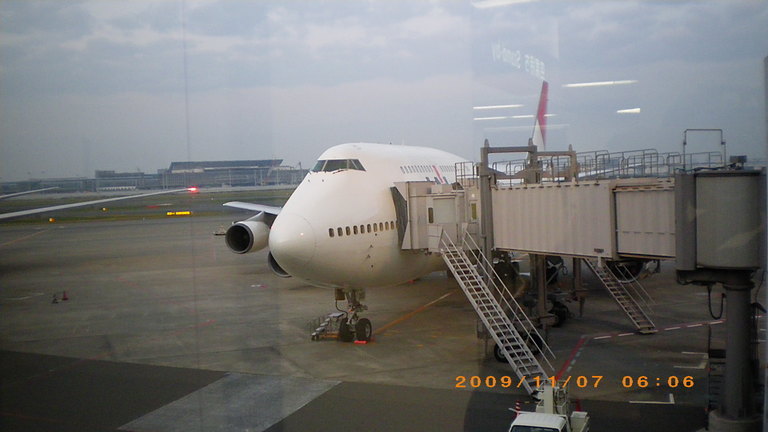 �L�Q�P�C�Ƃ̕�炵