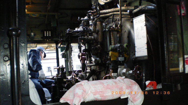 �L�Q�P�C�Ƃ̕�炵