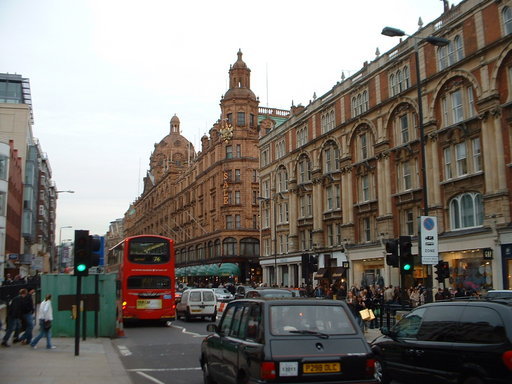 �L�Q�P�C�Ƃ̕�炵