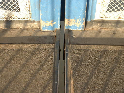 �L�Q�P�C�Ƃ̕�炵