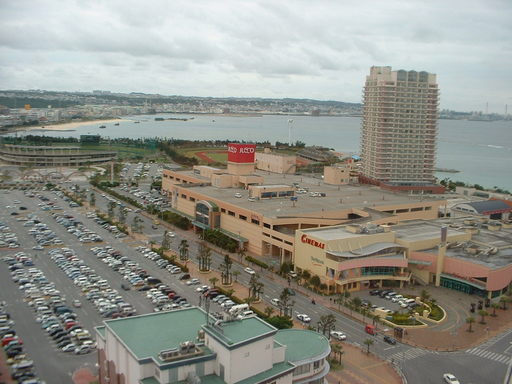 �L�Q�P�C�Ƃ̕�炵