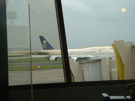 �L�Q�P�C�Ƃ̕�炵